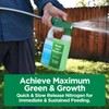 Maximum Green & Growth Fertilizer High Nitrogen 28-0-0 Liquid Lawn