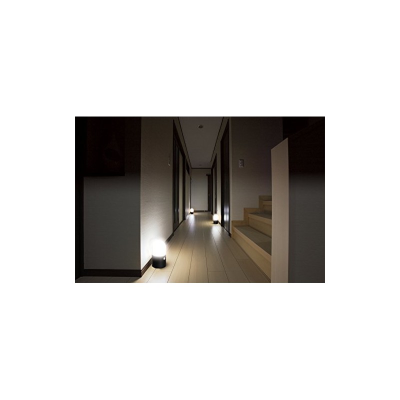 アイリスオーヤマ センサーライト ガーデン LED 乾電池式 丸型 2個セット ZSL-MN1M-BKS2