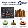 Satya Superhit Dhoop Cones with Stand, 4 Packs x 12