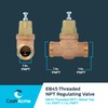 Cash Acme EB45 Pressure Regulating Valve, 1 Inch NPT Threaded,