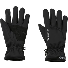 Ziener Men's Isp 20-1617 GTX Gloves, Black, 9