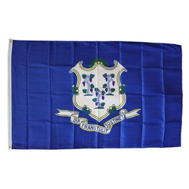 Connecticut - 3 ft x 5 ft Polyester State Flag