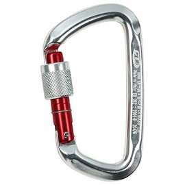 Climbing Technology D-Shape SG carabiner A D with Ferrule, Silver