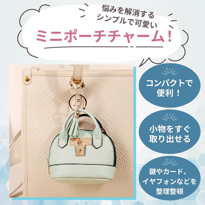 PITAPURO Mini Pouch, Charm, Smart Key Case, Pouch with Carabiner,