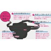 Japan puff safety belt 860 051