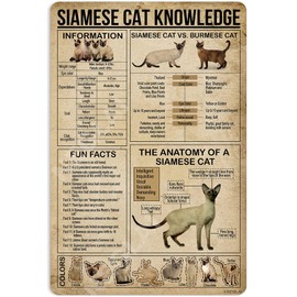 NEGLAI Siamese Cat Knowledge Metal Signs Poster, Vintage Wall Decor Farmhouse Decorations 16x12 Inches