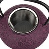 30 oz Cast Iron Teapot Enamel Lining W/Metal Infuser Tea