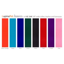 Lupine Dog Collar 3/4" Wide Aqua adjusts 13-22" Long