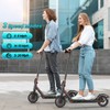 Caroma Electric Scooter, Peak 600W Motor, Up to 16 Mph,