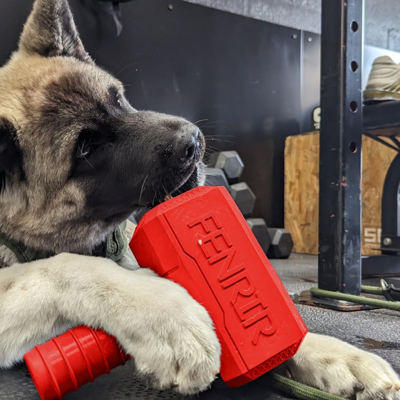 Fenrir Hammer Dog Chew Toy Strong Rubber Stuffable Enrichment Toy