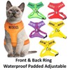 Dexil Luxury Cat Harness Padded and Water Resistant (Black L-XL)