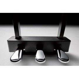 Yamaha LP1B 3-Pedal Unit for P225, P125, P121, P515, PS500 and DGX670 ,Black