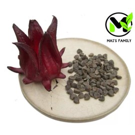 Mai's Family Roselle Seeds, Hoa Bụt Giấm, Asian Sour Leaf Red Sorrell Hibiscus sabdariffa - 100