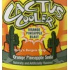 Coca-Cola Cactus Cooler Soft Drink Soda, 12 Packs Fresh Release