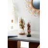 Paseo Cork Glass Dome NL Size: Approx. φ0.4 inches (10