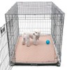 Paw Inspired Washable Pee Pads for Dogs (2 Pack) |