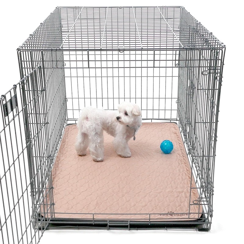 Paw Inspired Washable Pee Pads for Dogs (2 Pack) |