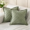 Volcanics Decorative Spring Sage Green Throw Pillow Covers 50x50cm Set