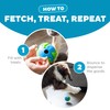 Outward Hound by Planet Dog Orbee-Tuff Planet Ball Blue/Green Treat-Dispensing