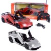 RC Sports Car 1:14 Scale Realistic Design, Slide-Up/Sciss