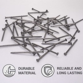 (Pack of 300) Steel 2.5 x 60 mm Construction Nails Flat Round Head Multi-Purpose Common Bright Wire Nails Woodworking (300, 2.5 x 60 mm)