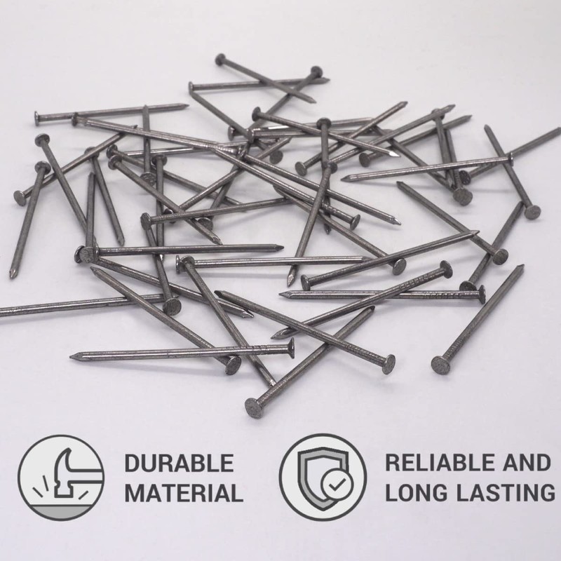 (Pack of 300) Steel 2.5 x 60 mm Construction Nails