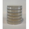 Prepoured Agar Plate Petri Dishes Growing Kit Science Projects Supplies