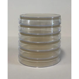Prepoured Agar Plate Petri Dishes Growing Kit Science Projects Supplies Culture Dishes for School Science Seedling 9CM (6)