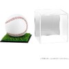 Generic Ultra Pro Clear UV Resistant Ball Case Baseball Case