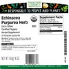 Frontier Co-op Organic Echinacea Purpurea Herb, Cut and Sifted -