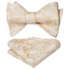 HISDERN Bow Ties for Men Champagne Gold Floral Self Tie