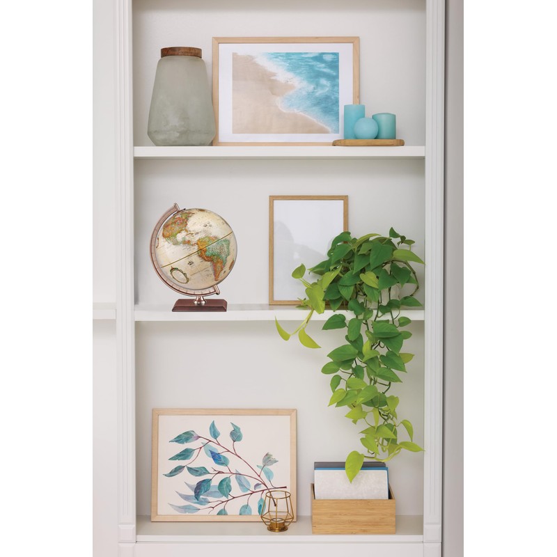 Replogle Globes Forester Globe, Antique Ocean, 9-Inch Diameter, Small, Multi