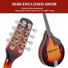 Ktaxon A-Style Mandolin Instrument Kit, 8 Strings Acoustic Mahogany Wood