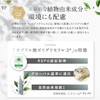 KIWABI Kazumi Root Beauté Deep Sea Scalp Cleansing Gel Single