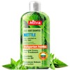Nettle Shampoo – Helps Regulate Sebum Production, Reduce Dandruff &