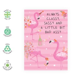 Central 23 Birthday Cards for Female Friends - Classy, Sassy and A Little Bit Bad Assy - Pink Flamingo Greeting Cards for Women - Funny Gifts for Sister Girlfriend Daughter - Ceomes with Stickers