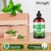 Naturopathy Peppermint Essential Oil, Natural Therapeutic Grade, Premium Quality Peppermint