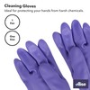 Ellise Household Cleaning Gloves 2-Piece Set, Assorted
