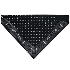 ZANheadgear® Bandanna SportFlex® Series Face Cover Face Guard Neck Guard Neck Warmer Motorcycle, black paisley, Free size