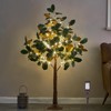 Hairui Lighted Magnolia Tree 4FT 165 LED Fairy Lights, Faux