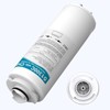 51300C Replacement Filter Compatible with Elkay EZH2O (w/Chip - 1