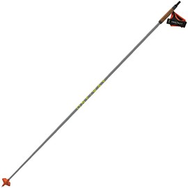 FISCHER Skiing Lightweight High-Performance Storm 6 Race Ghost Grey Nordic Poles, 150 cm