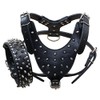 Haoyueer Leather Spiked Studded Medium & Large Dog Collars, Harnesses