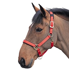 Shires Topaz Nylon Headcollar-Red Full