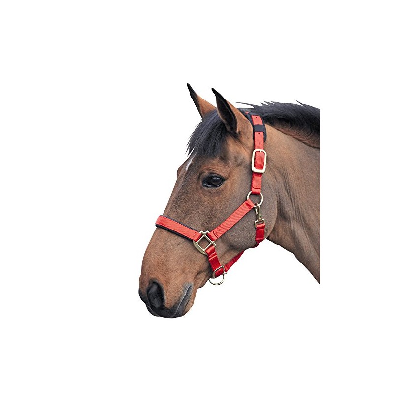 Shires Topaz Nylon Headcollar-Red Full