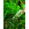 Cunguv Planaria Trap Leech Trap Flatworm Trap 3 Holes Leeches