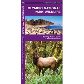 Olympic National Park Wildlife: A Folding Pocket Guide to Familiar Animals (Wildlife and Nature Identification)