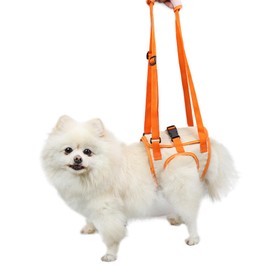 Paralyzed Dog Harness with Hind Leg Support - Large Sized Dog Sling, Adjustable Lift Harness, Hip Dysplasia Brace & ACL Tear Aid for Elderly Dogs - Alternative to Dog Wheelchair