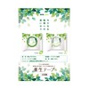 Think ECOLOGY Eco-friendly Curing Tape, 2.0 inches (50 mm) x