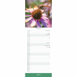 Carousel Worldwide, Royal Botanic Gardens 2026 Slim Wall Calendar